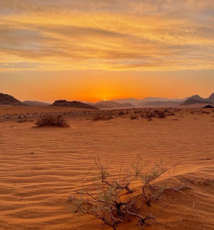 Wadi Rum Nature Экстерьер фото